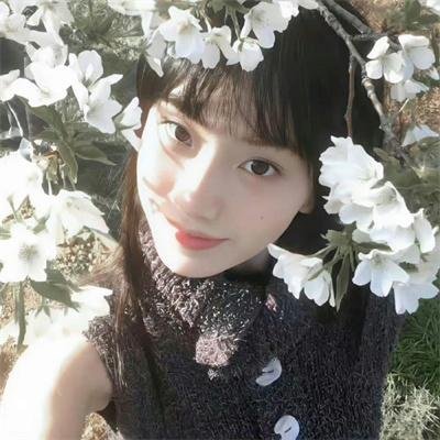 白夫人的妖恋封面