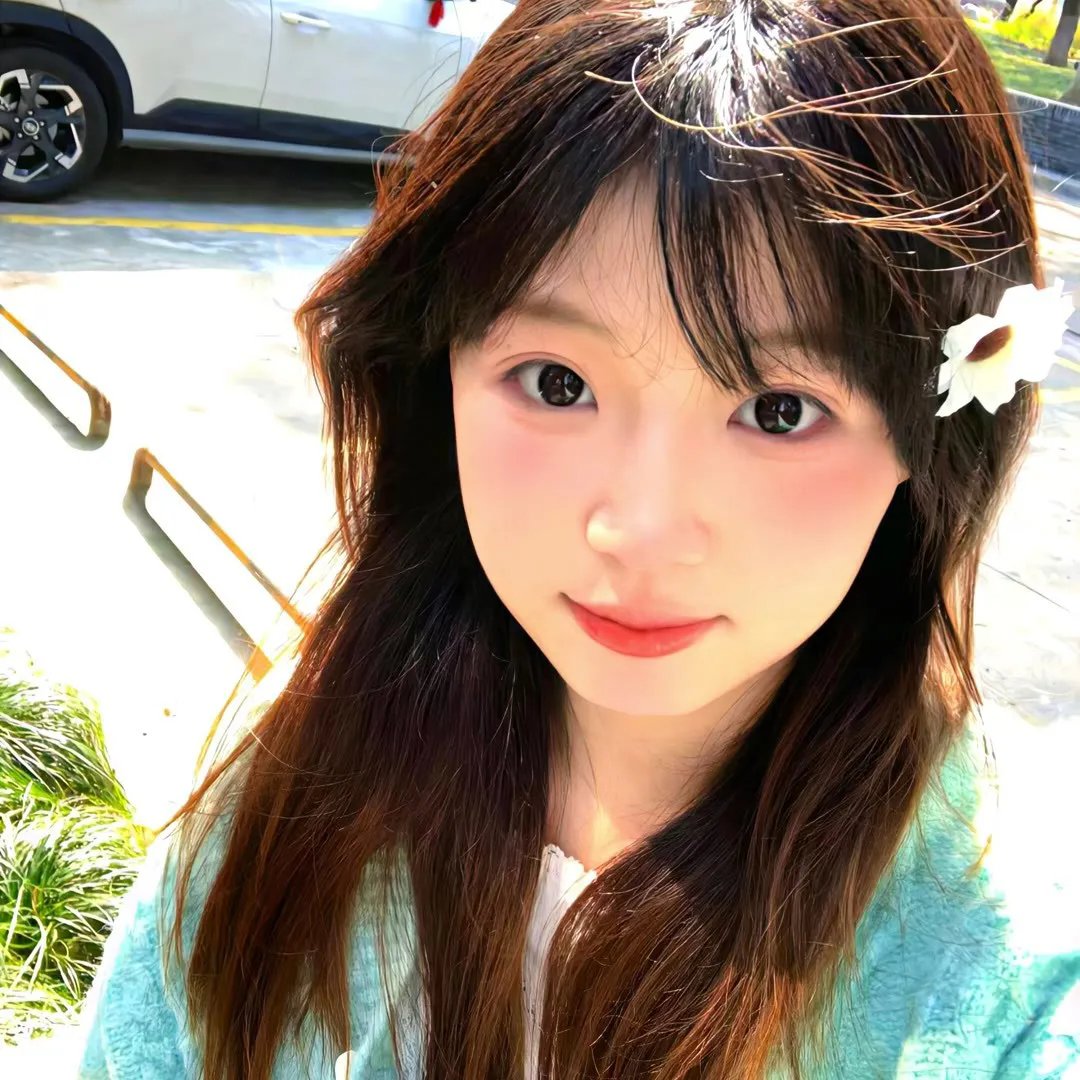 壳中少女 压缩封面