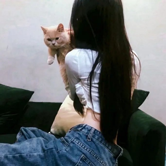 美妙天堂第二季封面